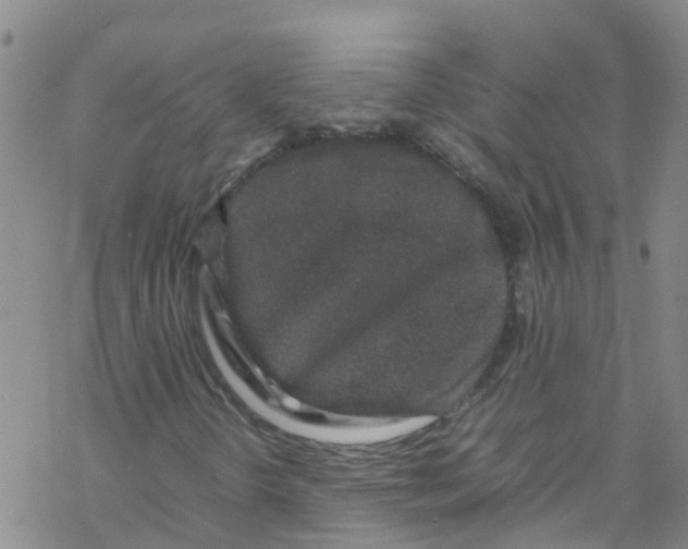 X0000067951298200605112115