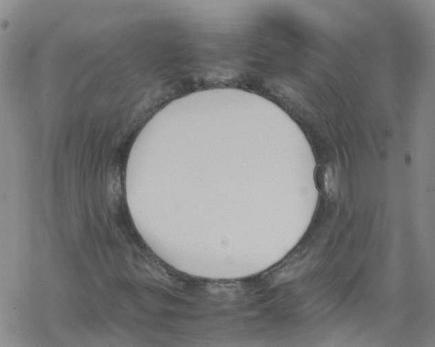 X0000067951299200605112115