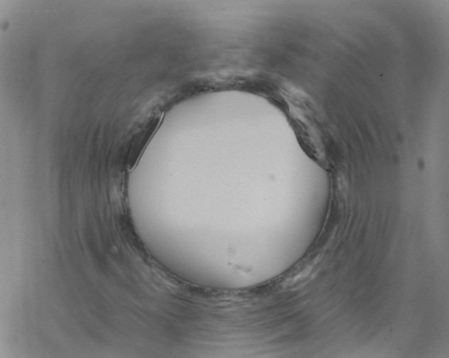 X0000067951300200605112115