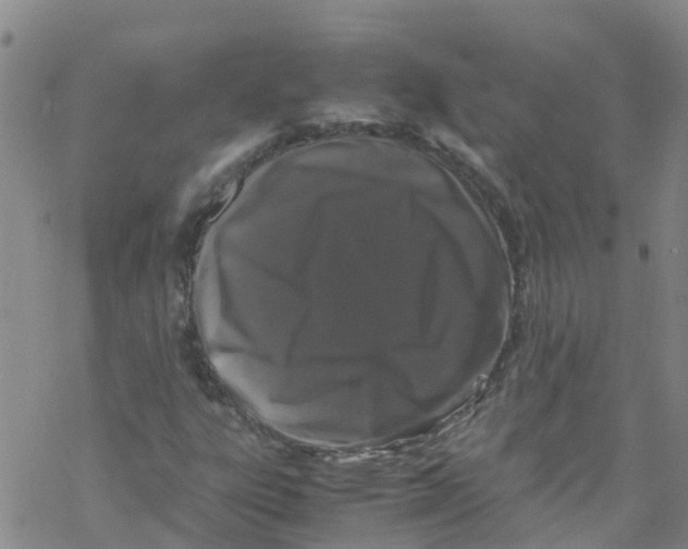 X0000067951303200605112115