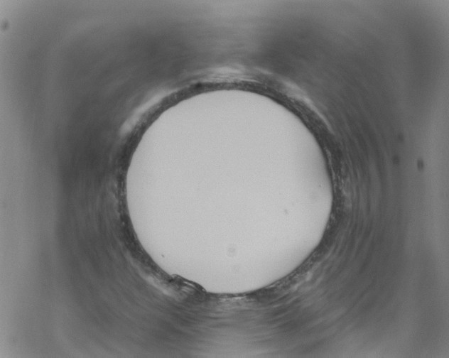 X0000067951304200605112115