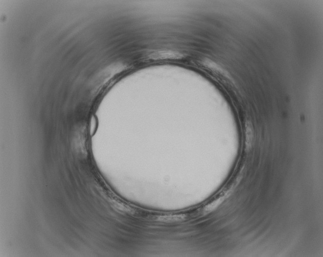 X0000067951305200605112115