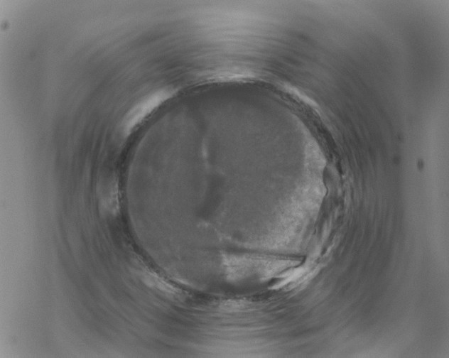 X0000067951306200605112115