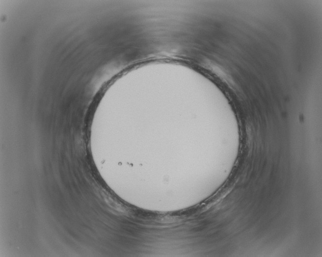 X0000067951308200605112115