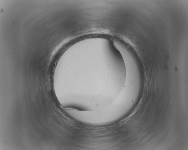 X0000067951310200605112115