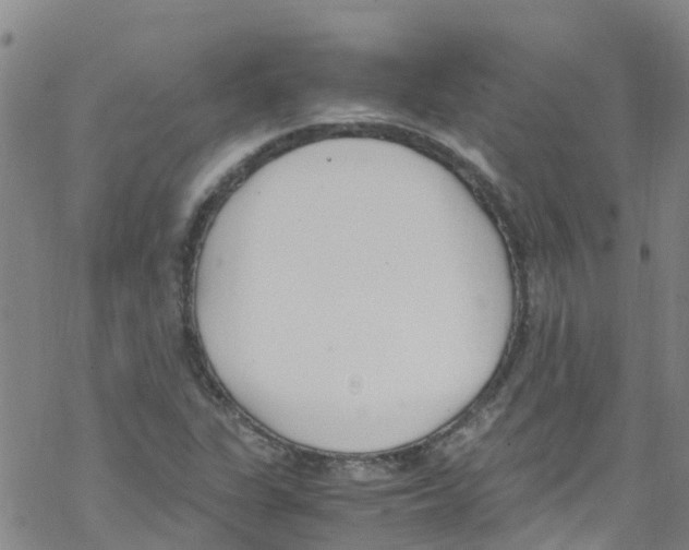 X0000067951311200605112115