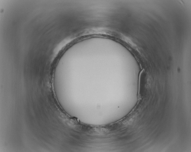 X0000067951312200605112115