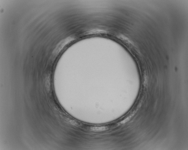 X0000067951313200605112115