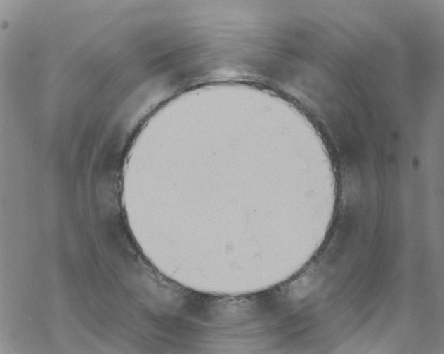 X0000067951314200605112115