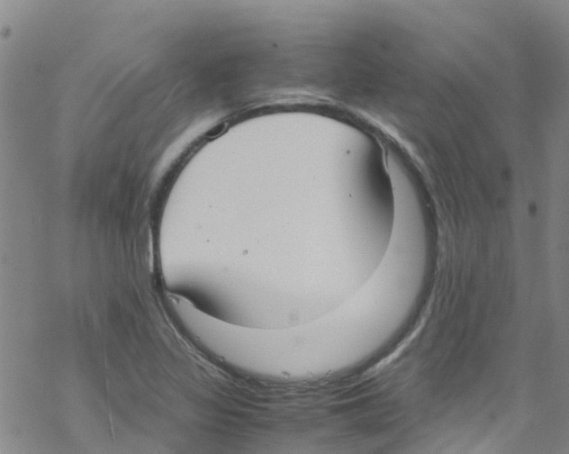 X0000067951317200605112115