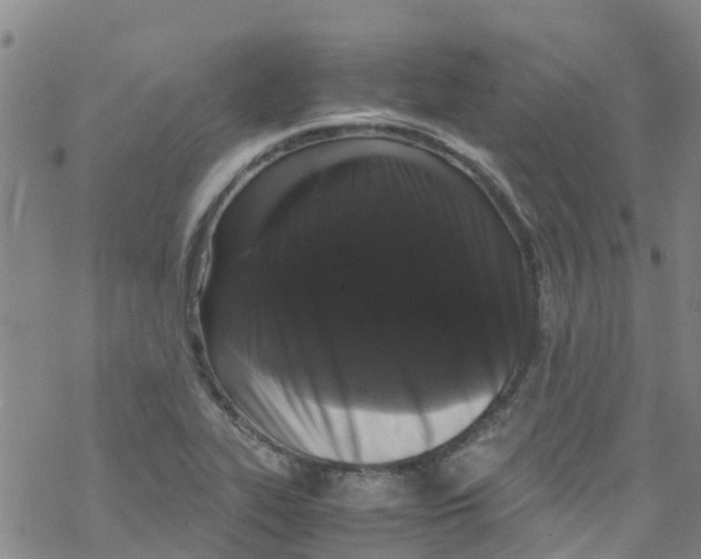 X0000067951319200605112115