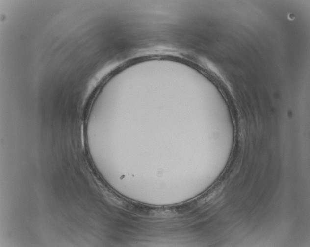 X0000067951320200605112115