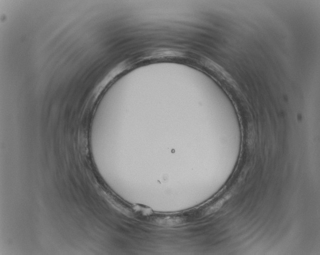 X0000067951321200605112115