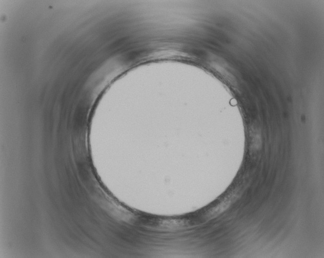 X0000067951322200605112115