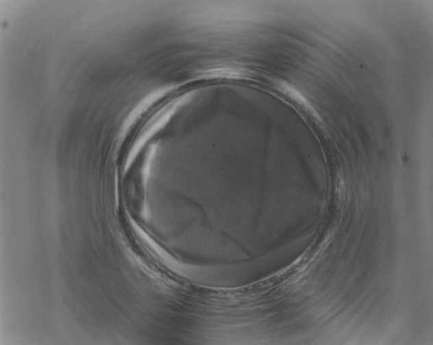 X0000067951323200605112115