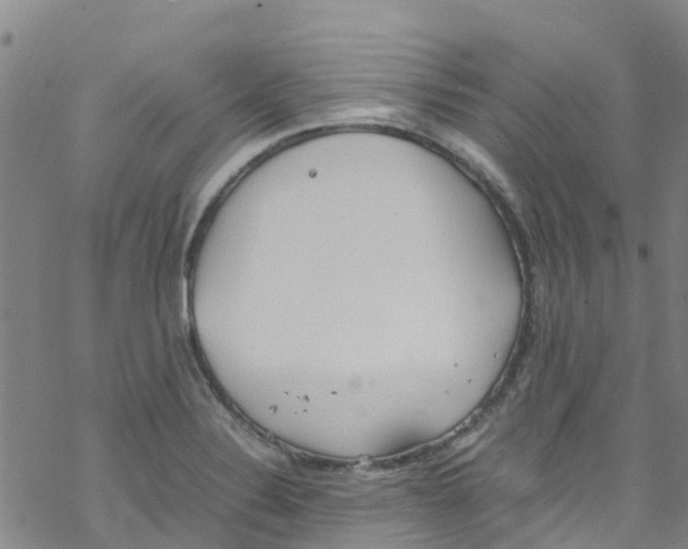 X0000067951324200605112115