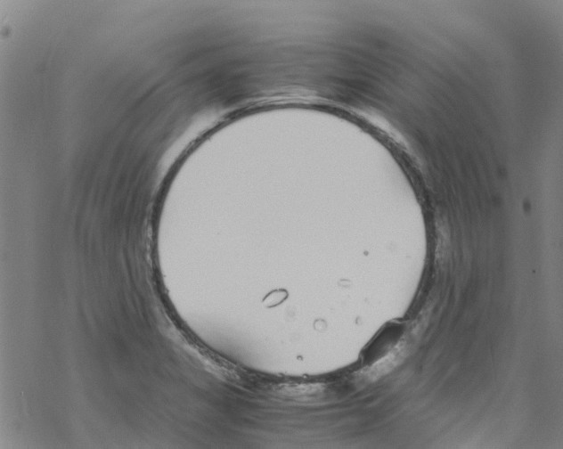 X0000067951325200605112115