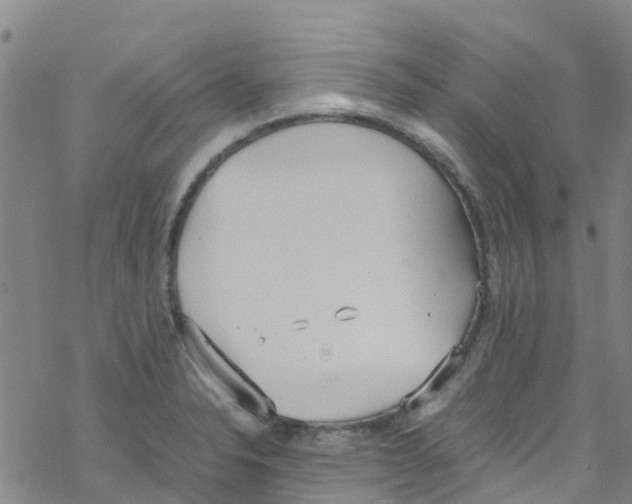 X0000067951326200605112115