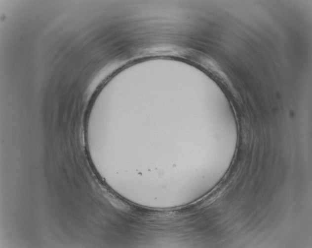 X0000067951328200605112115