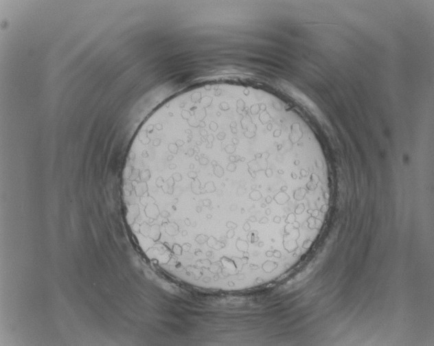 X0000067951329200605112115