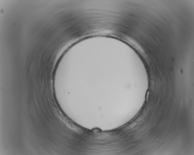 X0000067951332200605112115