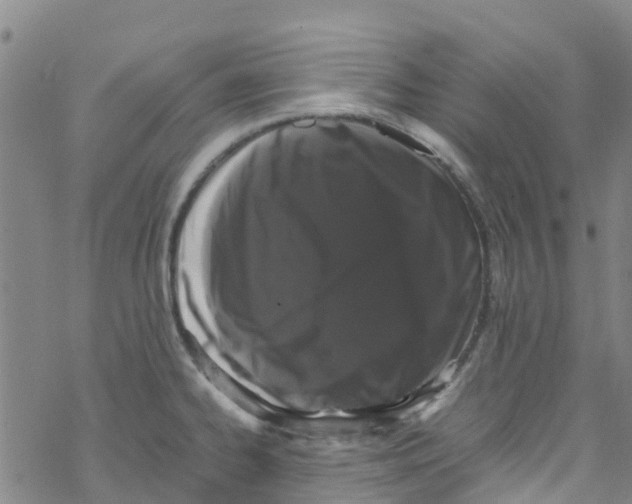 X0000067951334200605112115