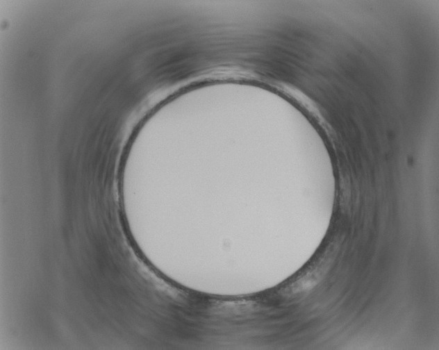 X0000067951335200605112115