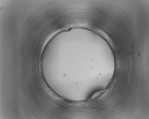 X0000067951340200605112115