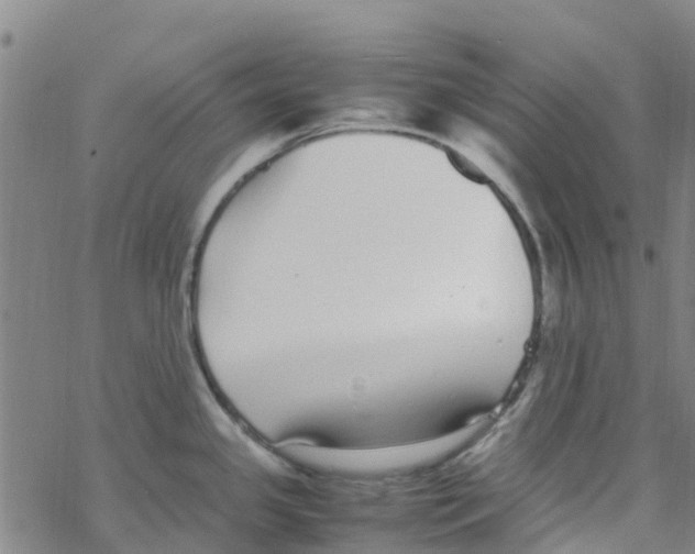 X0000067951341200605112115