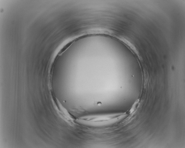 X0000067951342200605112116