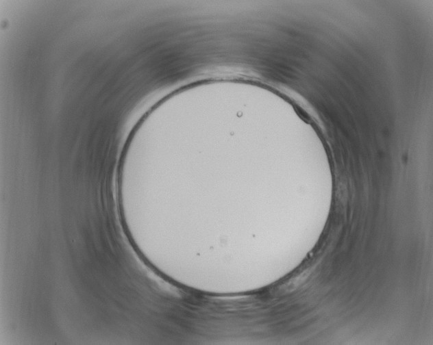 X0000067951343200605112116