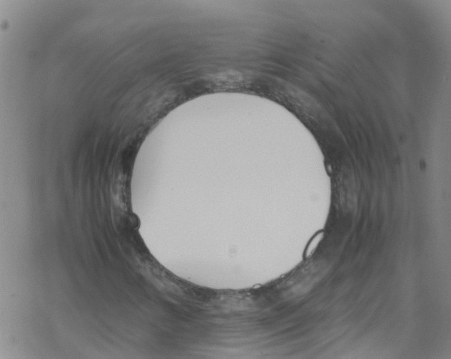 X0000067951346200605112115