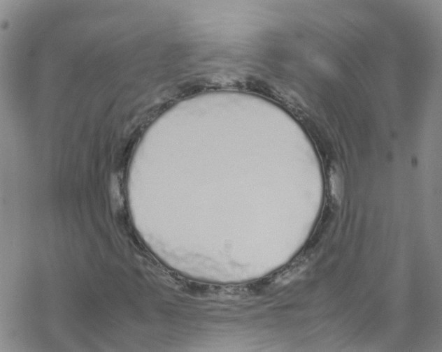 X0000067951347200605112115