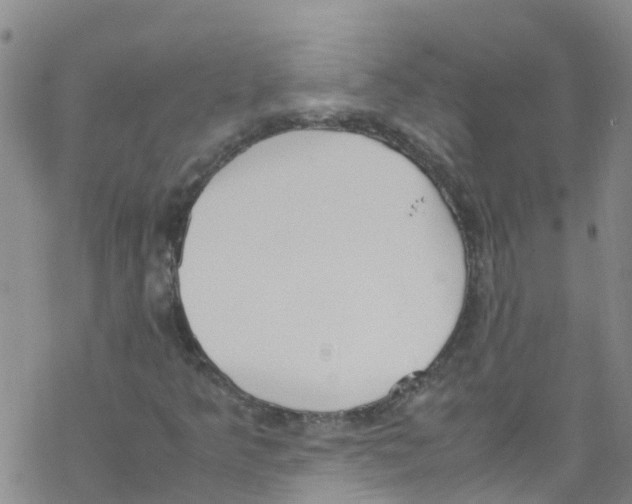 X0000067951349200605112115