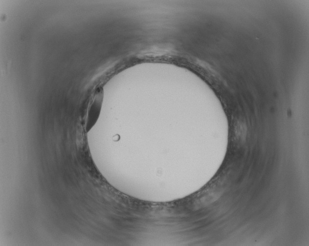 X0000067951350200605112115