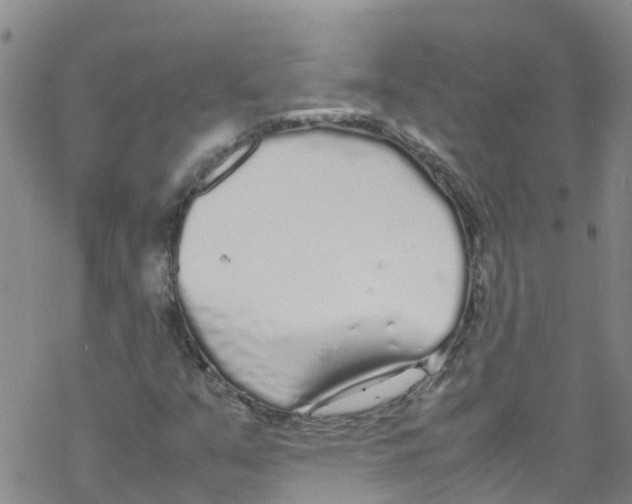 X0000067951351200605112115