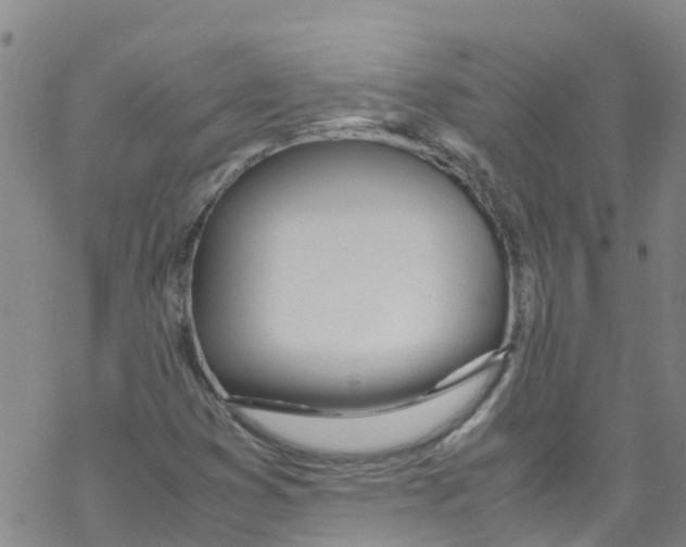 X0000067951353200605112115