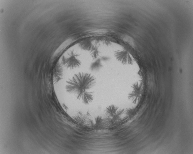 X0000067951354200605112115