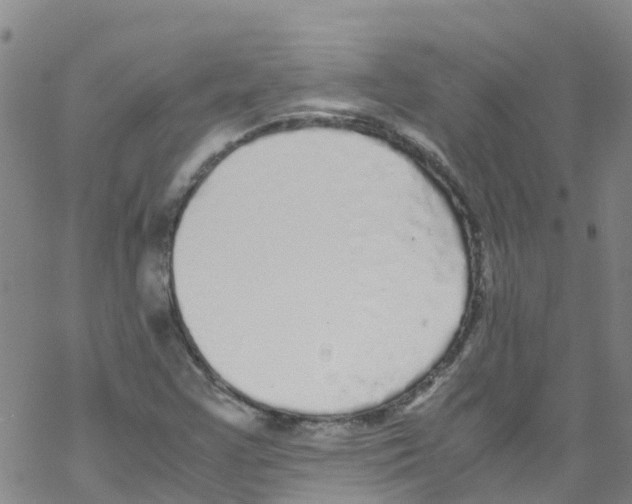 X0000067951355200605112115