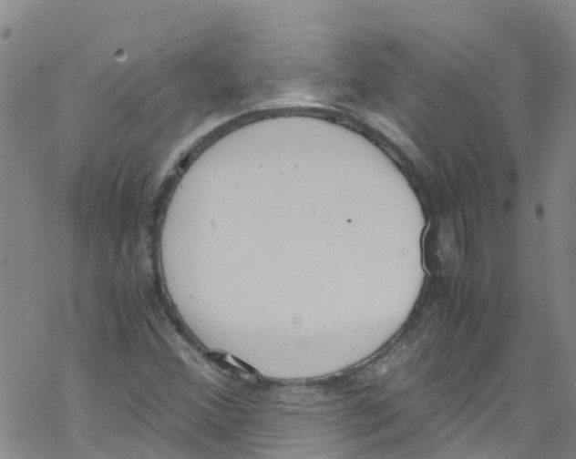 X0000067951356200605112115