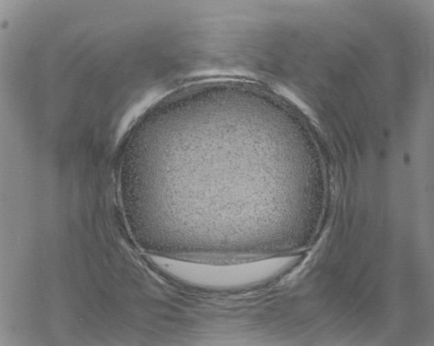 X0000067951357200605112115