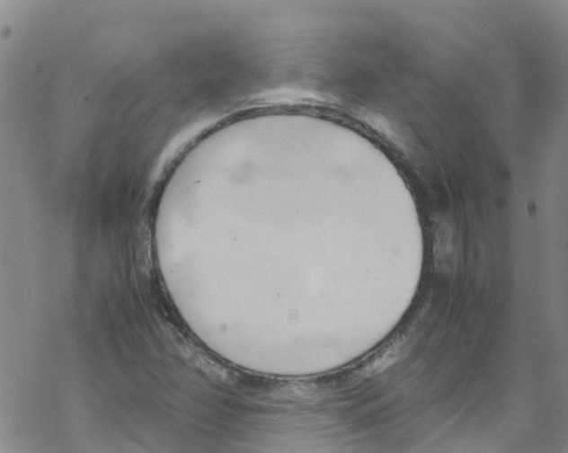 X0000067951358200605112115