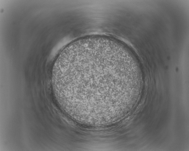 X0000067951359200605112115