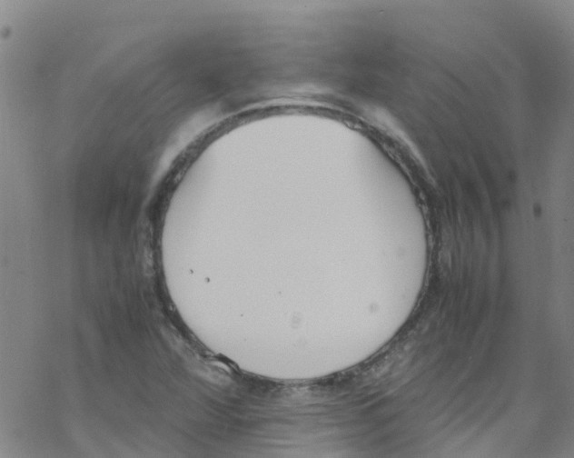 X0000067951360200605112115