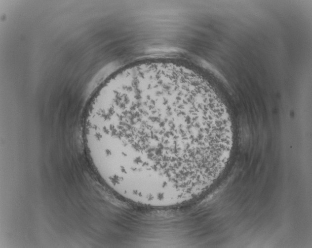 X0000067951362200605112114