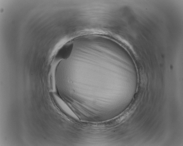 X0000067951365200605112114