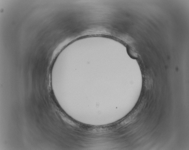 X0000067951366200605112114