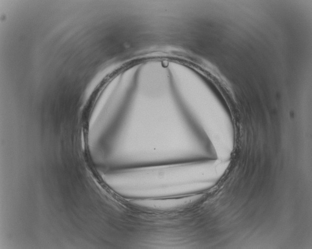 X0000067951368200605112114