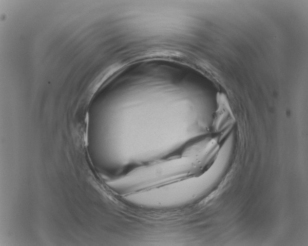 X0000067951369200605112114