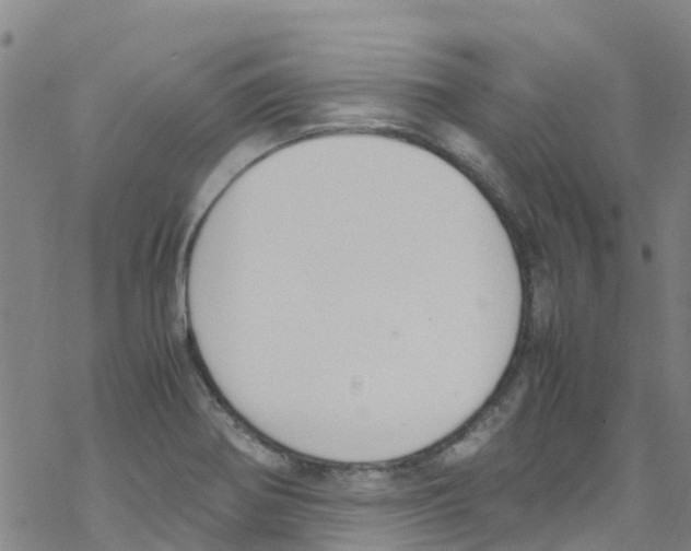 X0000067951370200605112114